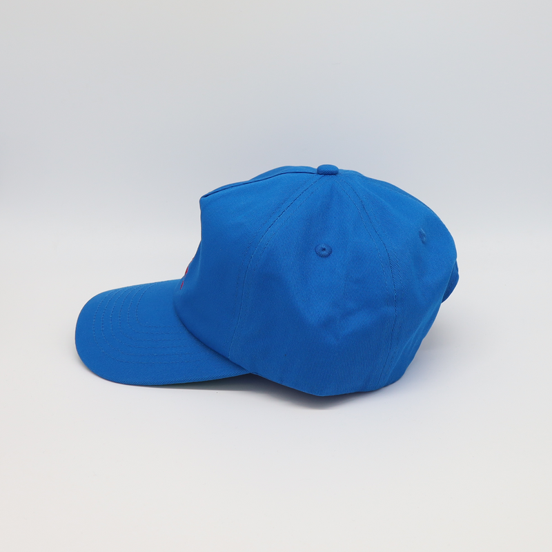 1010 Bleu